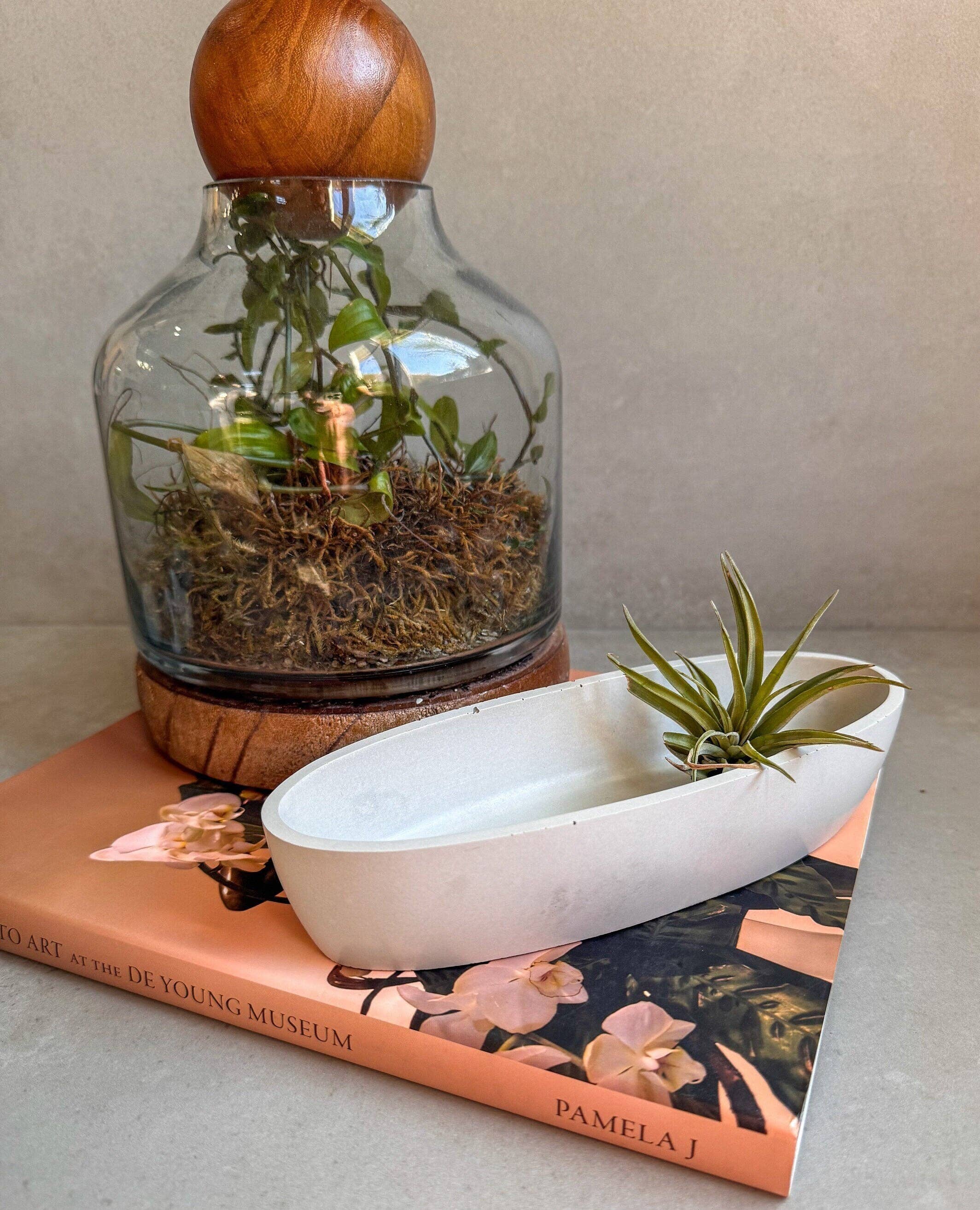 Oval Concrete Tray, Decorative Boat Tray, Trinket Trough, Minimalist Cement Tray, Coffee Table Display, Jewlery Dish, Bathroom Tray: Large (11” L)
