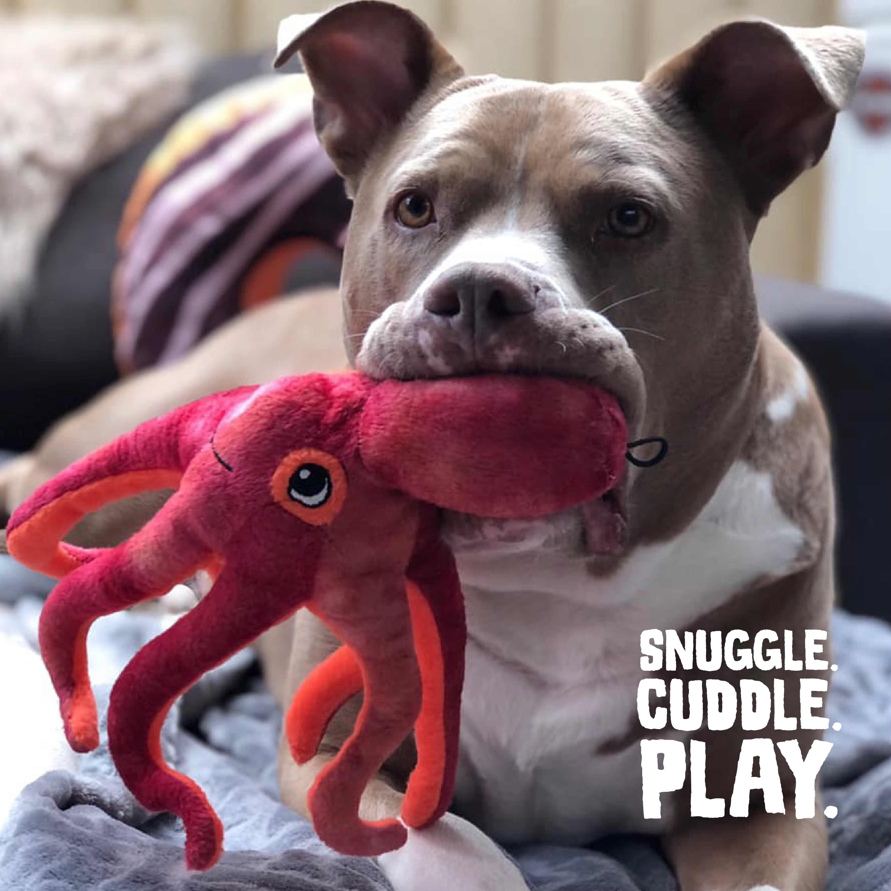 SnugArooz Olivia the Octopus Plush Dog Toy 11"