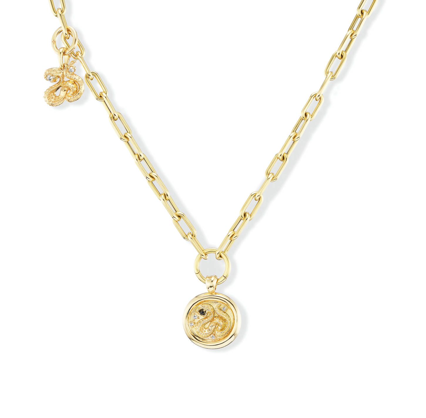 Large Wisdom Serpent Charm