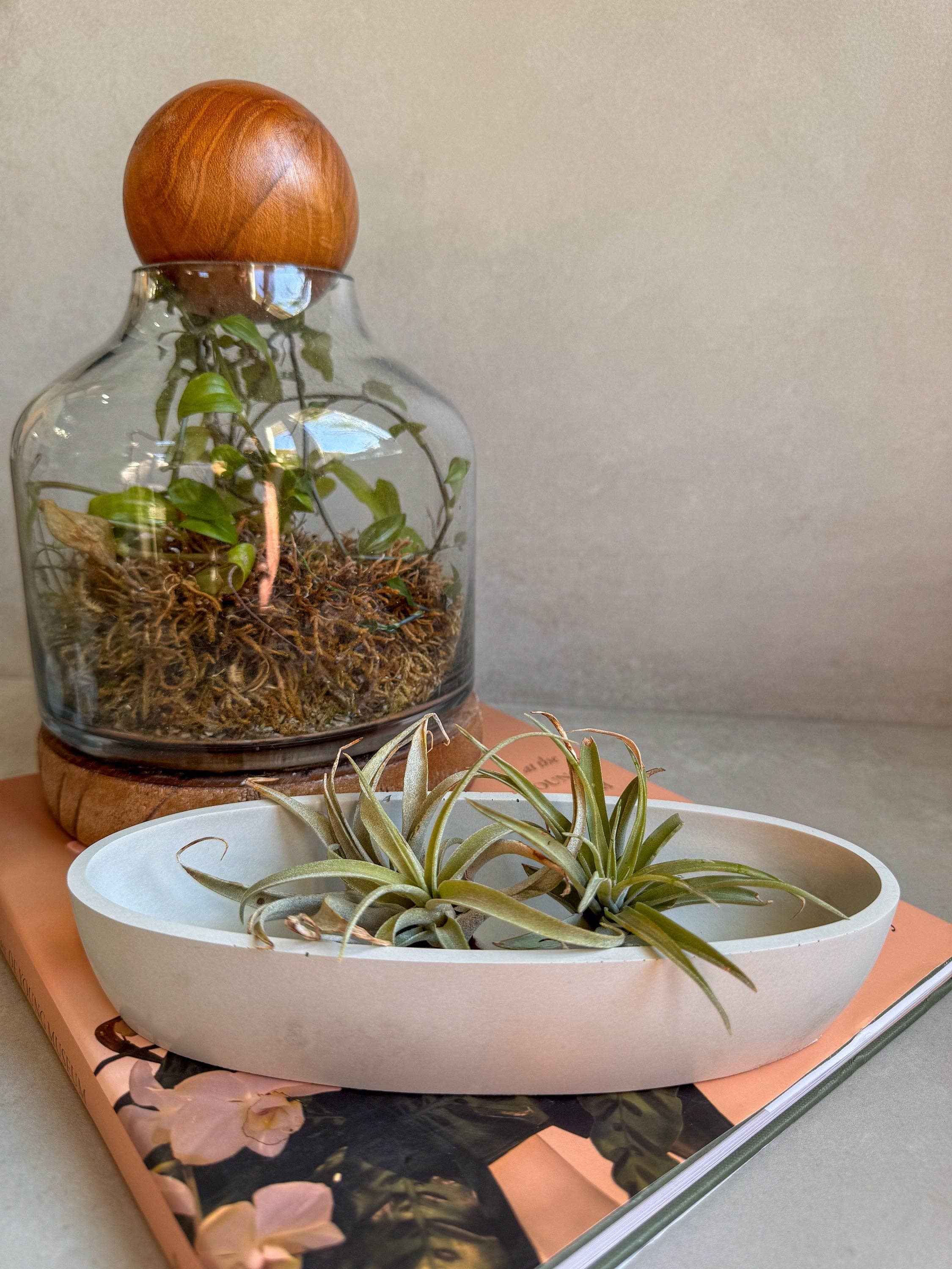 Oval Concrete Tray, Decorative Boat Tray, Trinket Trough, Minimalist Cement Tray, Coffee Table Display, Jewlery Dish, Bathroom Tray: Large (11” L)