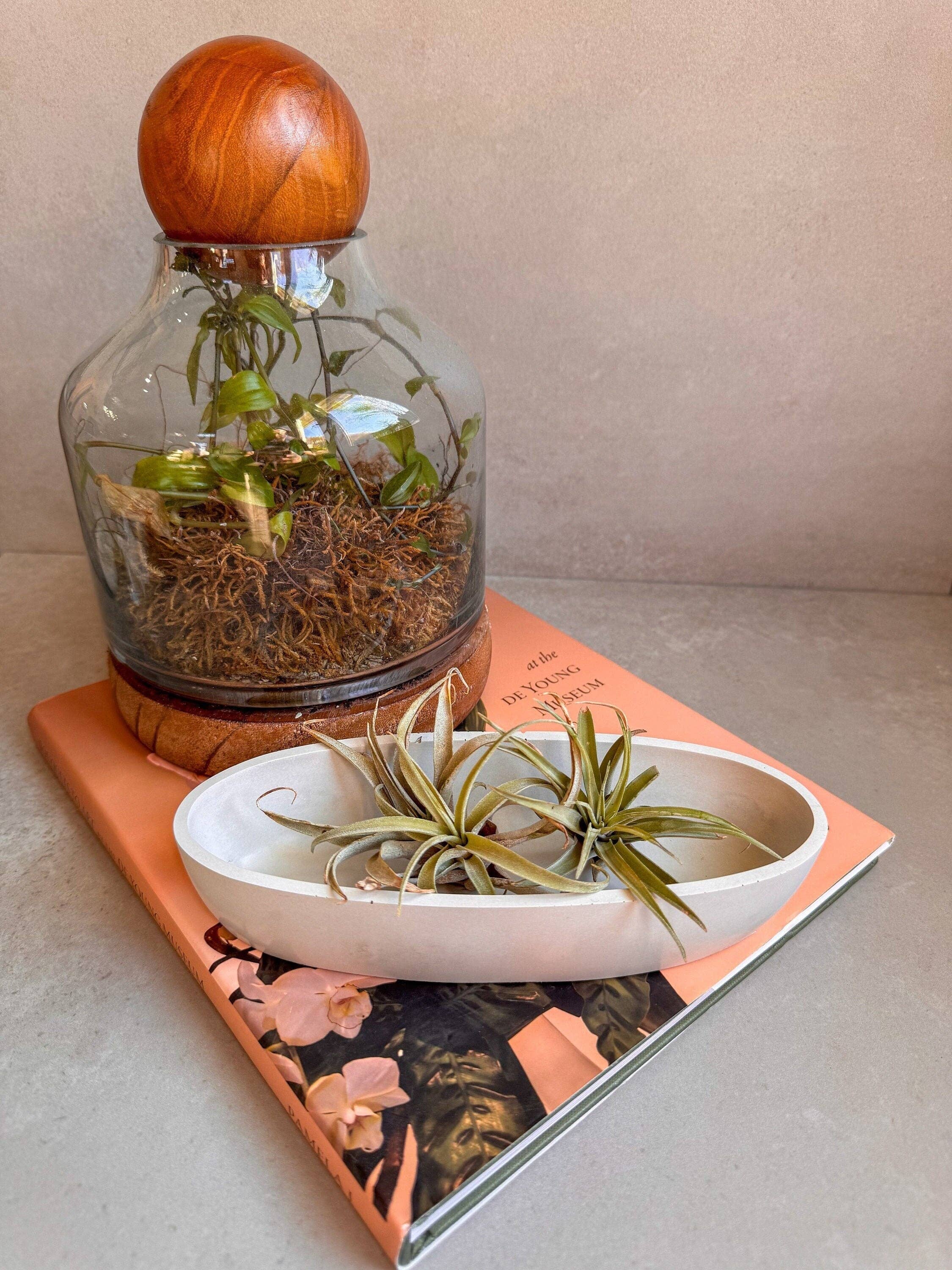 Oval Concrete Tray, Decorative Boat Tray, Trinket Trough, Minimalist Cement Tray, Coffee Table Display, Jewlery Dish, Bathroom Tray: Small (8.4” L)